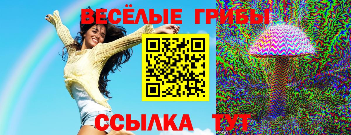 Псилоцибиновые грибы мицелий Ростов Великий